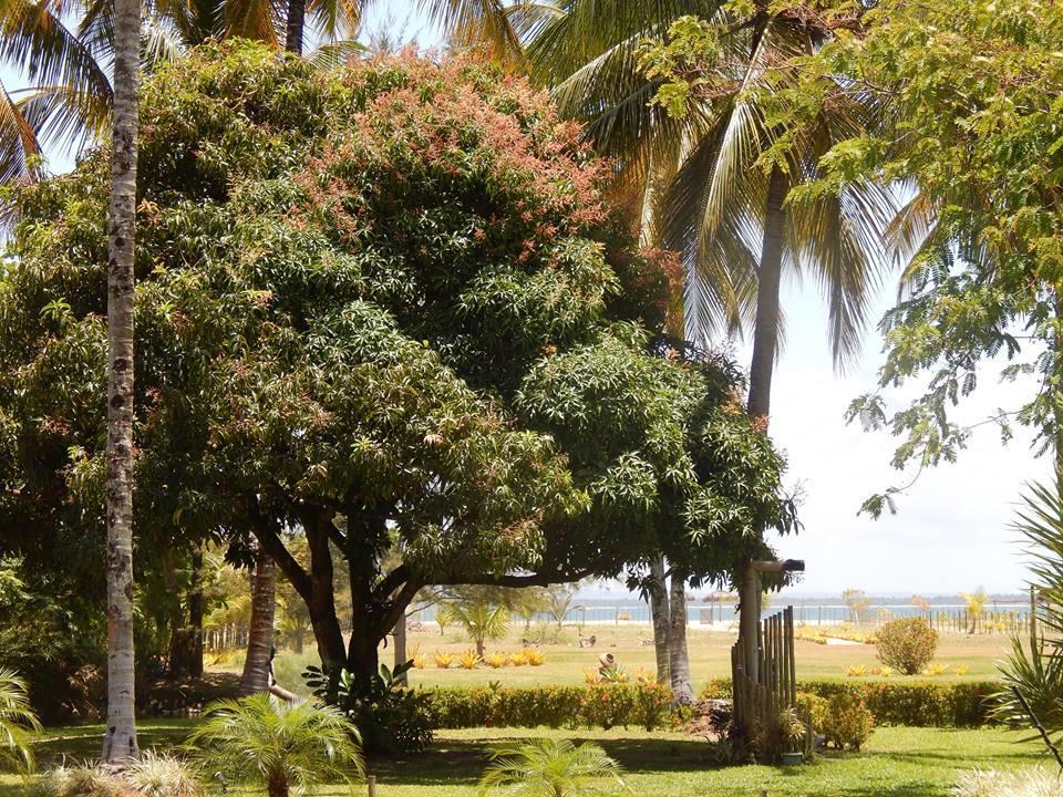 Pousada Aguazul Marau  Exterior foto